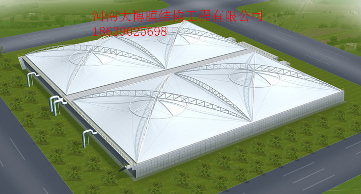 逐梦国际 64763