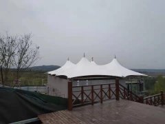 逐梦国际 98339