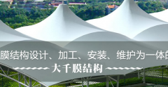 逐梦国际 21bd3