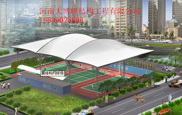 逐梦国际 534af