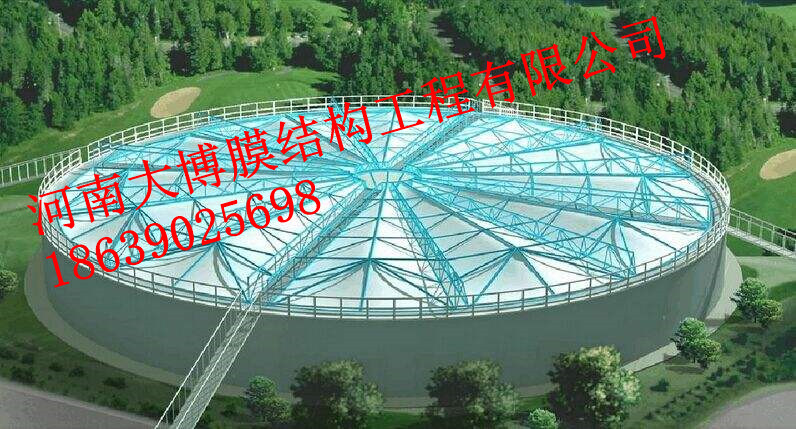 逐梦国际 67b06