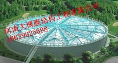 逐梦国际 d482e