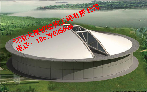 逐梦国际 ed337