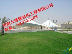 逐梦国际 597df