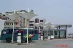 逐梦国际 be8e8