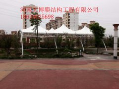 逐梦国际 d7b17