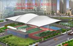逐梦国际 ae58e