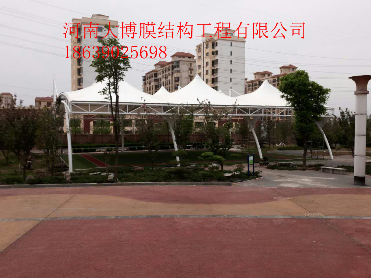 逐梦国际 7a86b