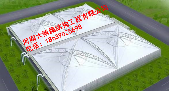 逐梦国际 497a4