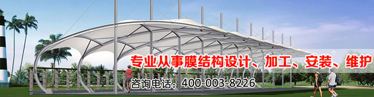逐梦国际官方网站图片